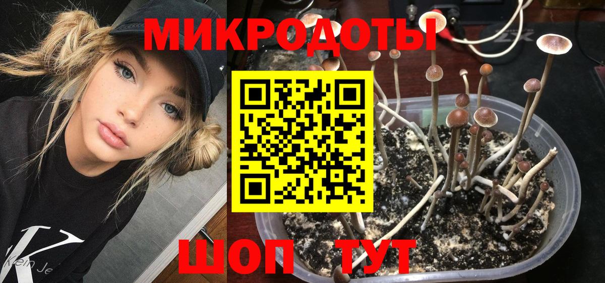 Ессентуки  что такое   Галлюциногенные грибы ЛСД  Вход с VPN  Псилоцибиновые грибы мицелий 