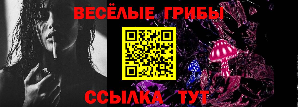 Галлюциногенные грибы Psilocybine cubensis Ессентуки